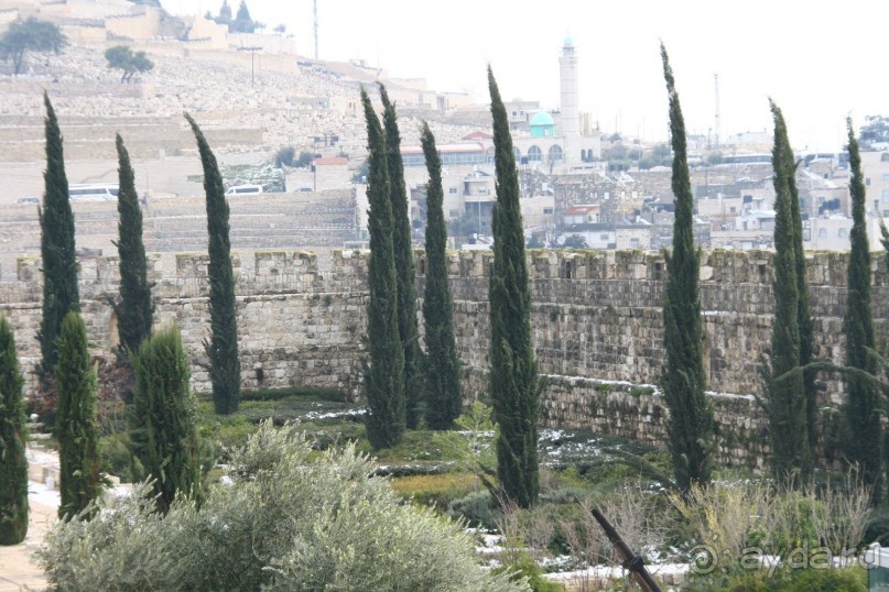 Старый город