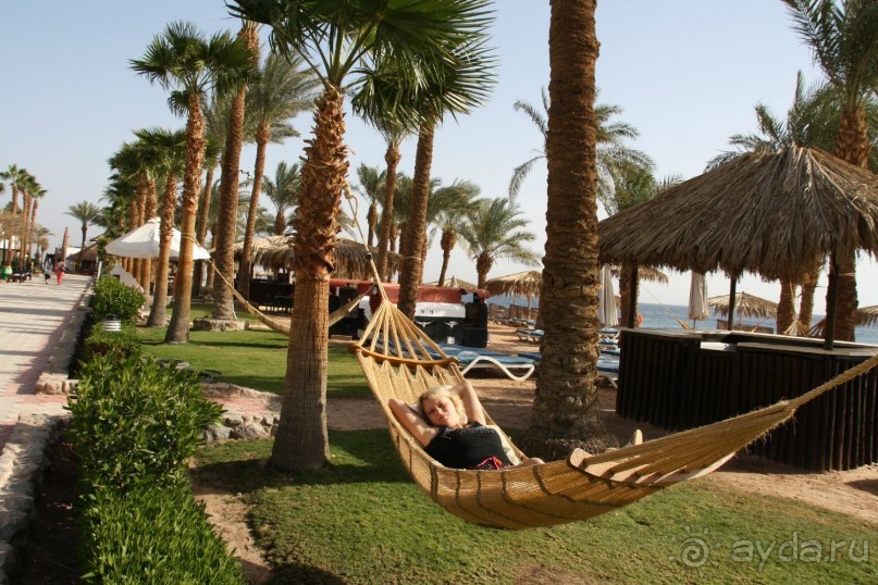 Отличный отель для спокойного отдыха, я хочу туда вернуться!