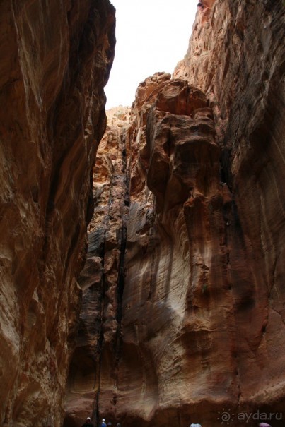 Отличный отель для спокойного отдыха, я хочу туда вернуться!