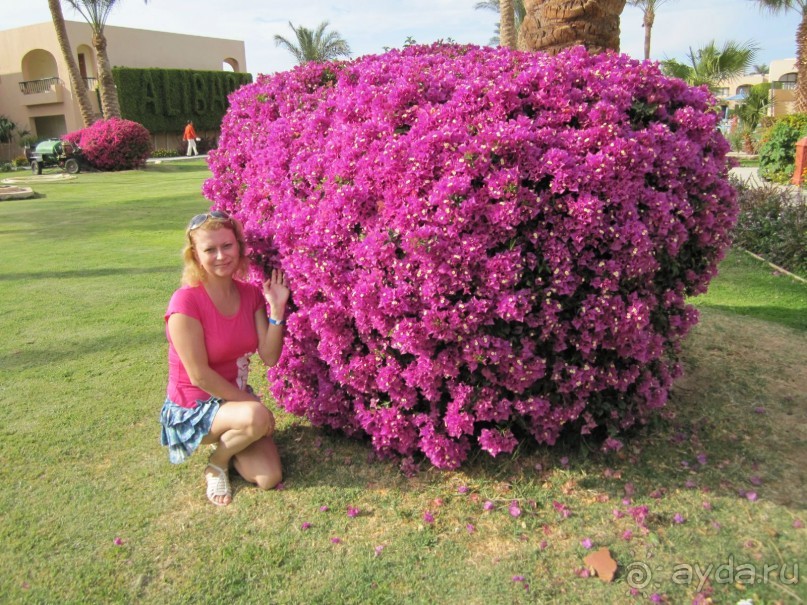 фото Ali Baba Palace