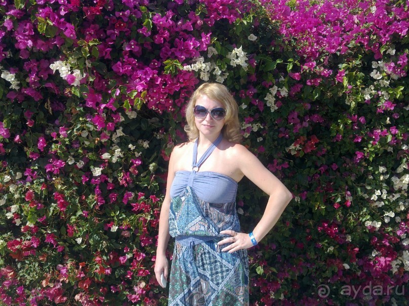 фото Ali Baba Palace