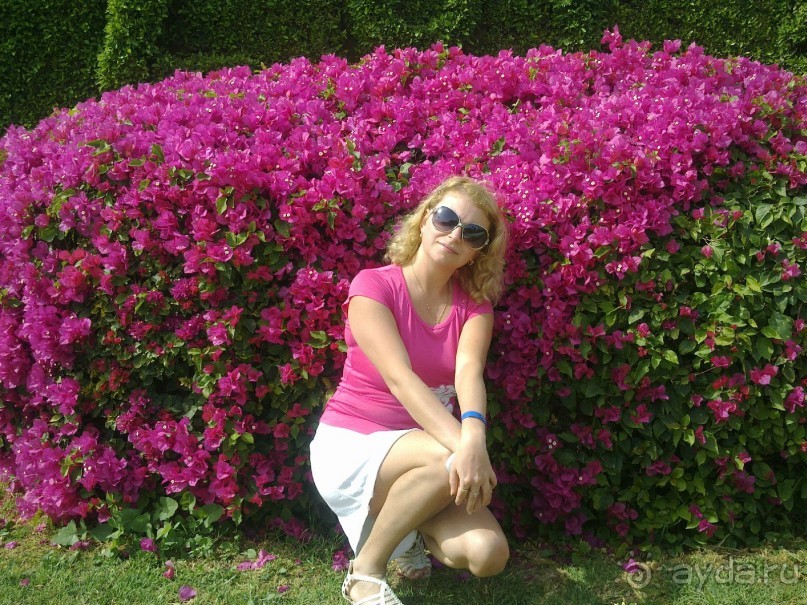 фото Ali Baba Palace