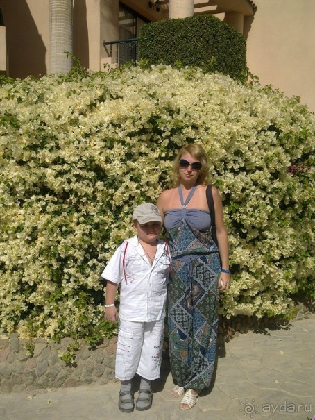 фото Ali Baba Palace