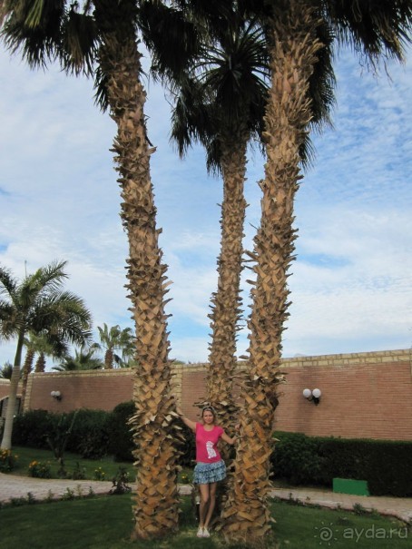 фото Ali Baba Palace