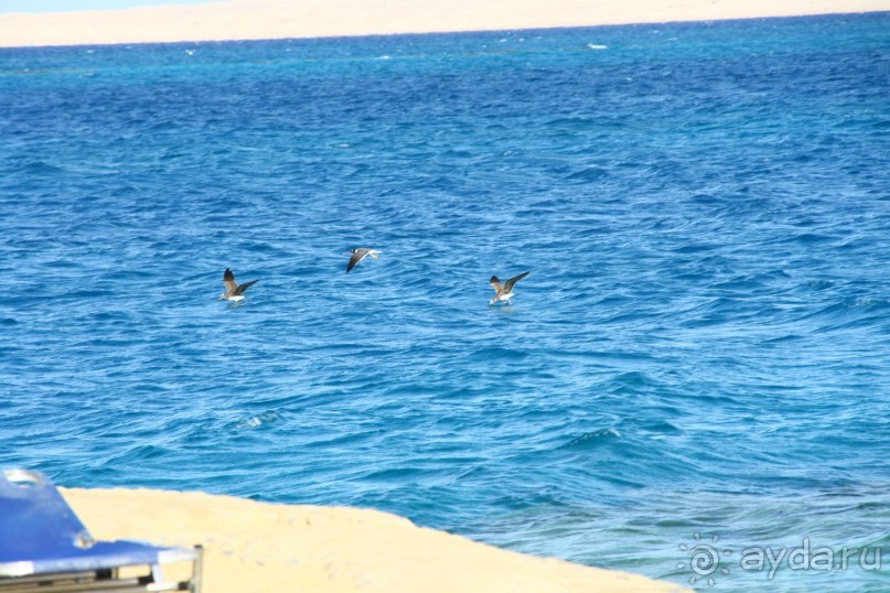 фото Beau Sejour