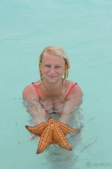 Шикарный отель