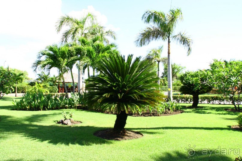 Шикарный отель