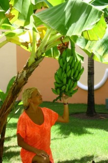 Шикарный отель