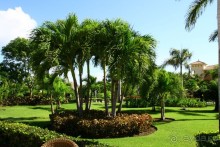 Шикарный отель