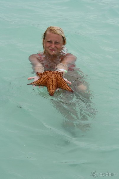 Шикарный отель