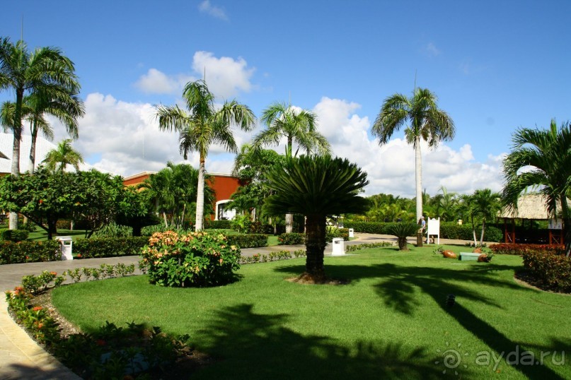 Шикарный отель