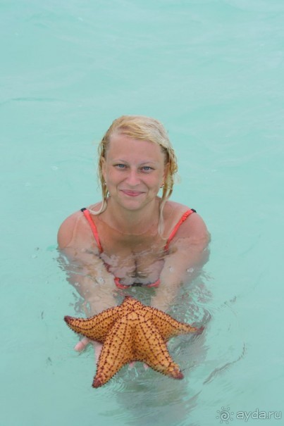 Шикарный отель