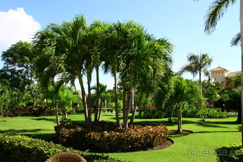 Шикарный отель