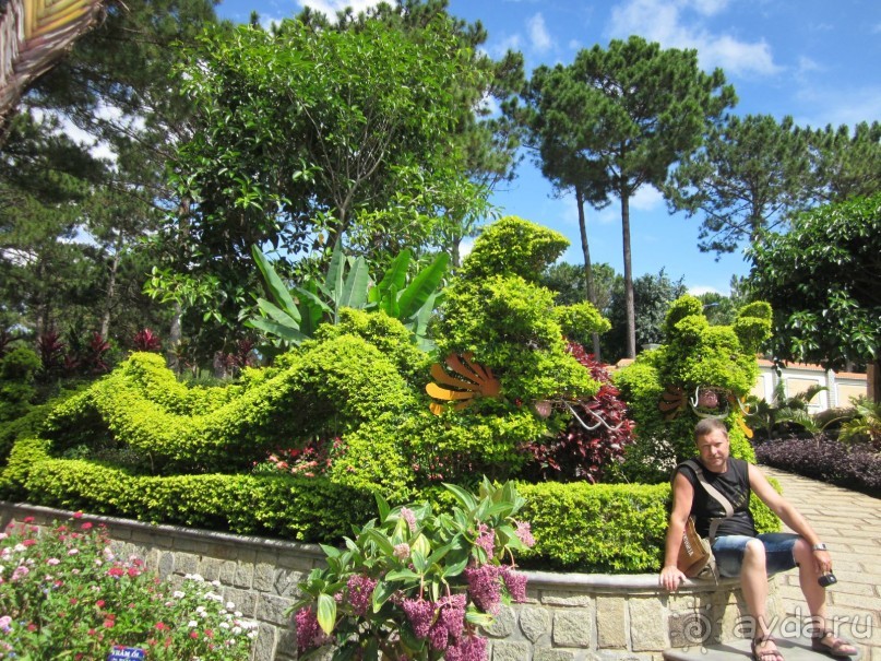 фото Blue Ocean Resort