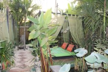 экономичный отдых в Cambo Boutique Hotel