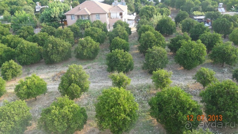 фото Courtyard Marriott