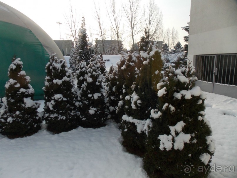 Адекватная оценка