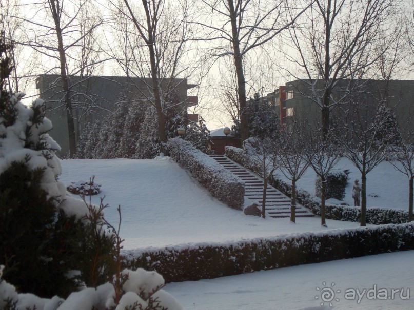 Адекватная оценка