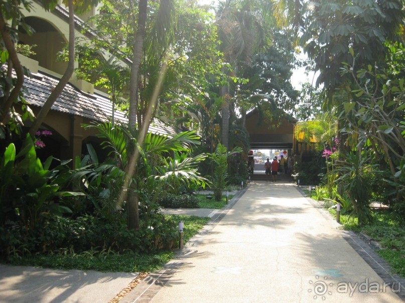 Очень понравился отель.