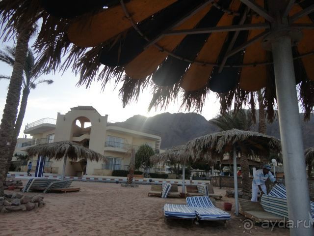 фото Sonesta Beach Resort Taba