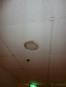 отель на троечку