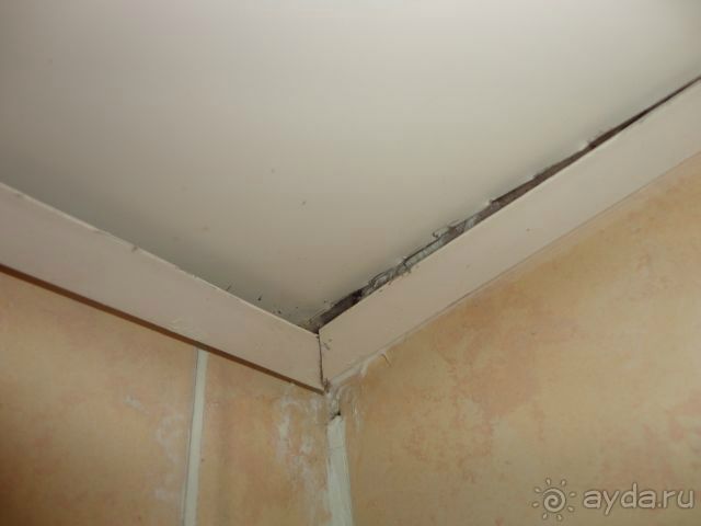 отель на троечку