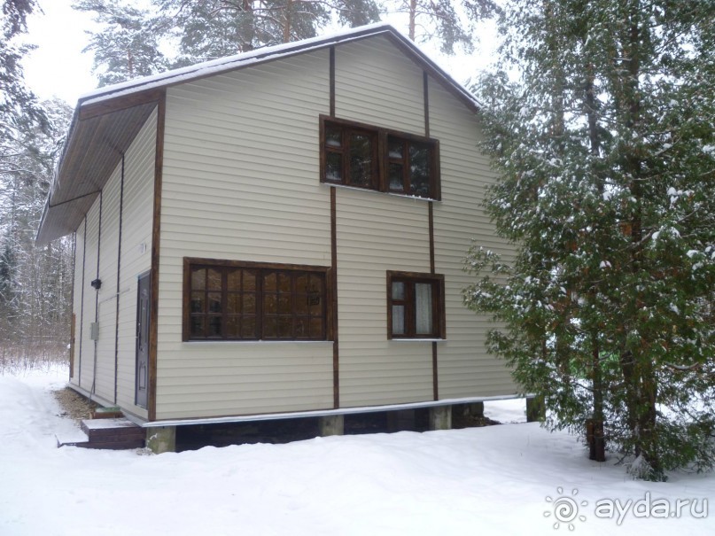 фото Янтарь