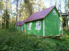 фото Янтарь