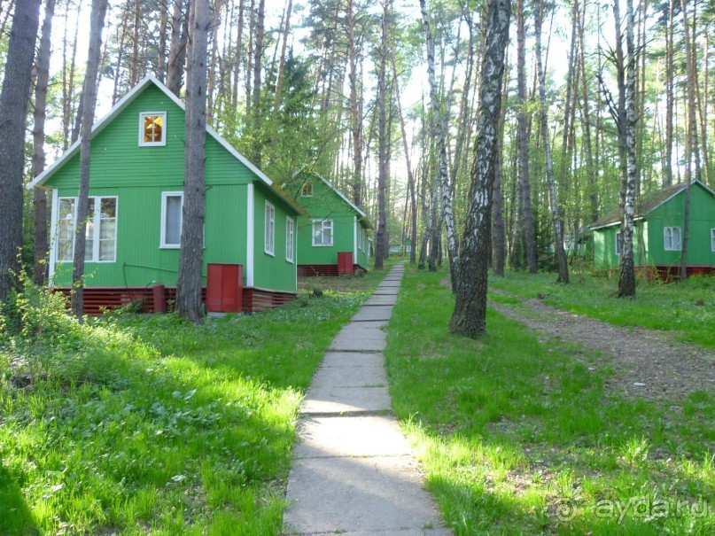 База отдыха Янтарь -ресторан с танцполом