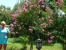 КОМФОРТАБЕЛЬНЫЙ ОТДЫХ