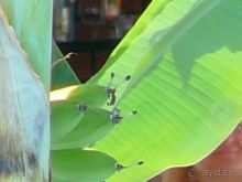 КОМФОРТАБЕЛЬНЫЙ ОТДЫХ