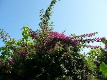 КОМФОРТАБЕЛЬНЫЙ ОТДЫХ