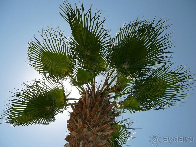 фото Larissa Sultans Beach