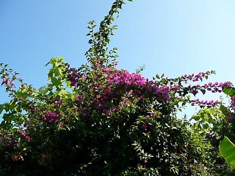 КОМФОРТАБЕЛЬНЫЙ ОТДЫХ