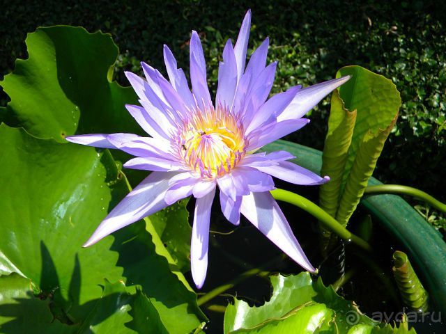 КОМФОРТАБЕЛЬНЫЙ ОТДЫХ