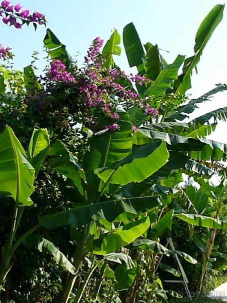 КОМФОРТАБЕЛЬНЫЙ ОТДЫХ