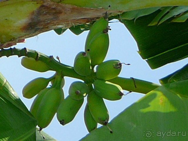 КОМФОРТАБЕЛЬНЫЙ ОТДЫХ