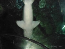 Интересная и небезопасная Испания.