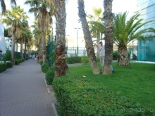 Интересная и небезопасная Испания.