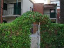 Интересная и небезопасная Испания.