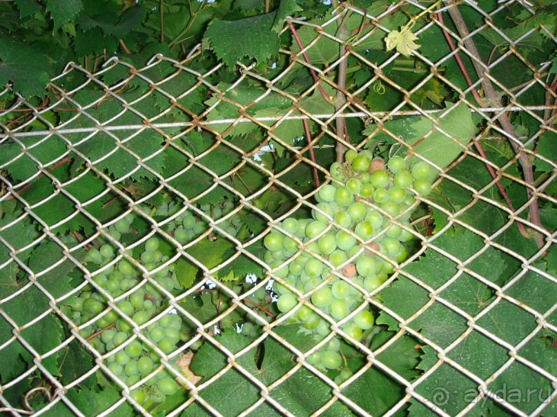 Интересная и небезопасная Испания.