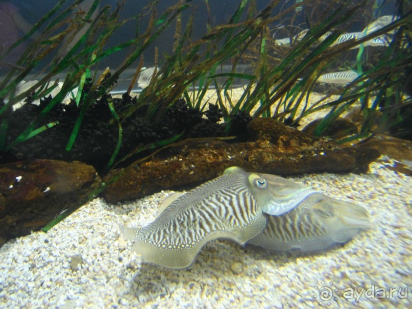 Интересная и небезопасная Испания.