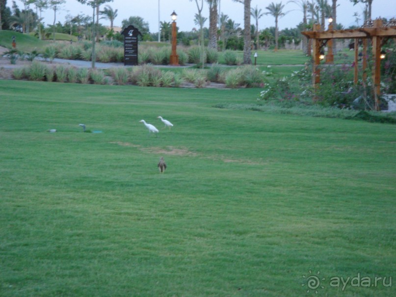 Сказочный отель.