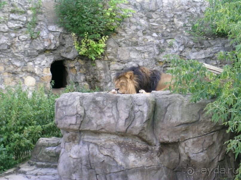 как печально что нет фотографий москвы.