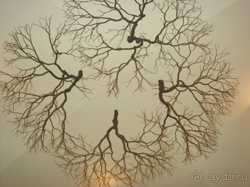 Rhodos Royal Grecotel.