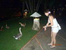 Супер!!! Не хотелось уезжать!!! 