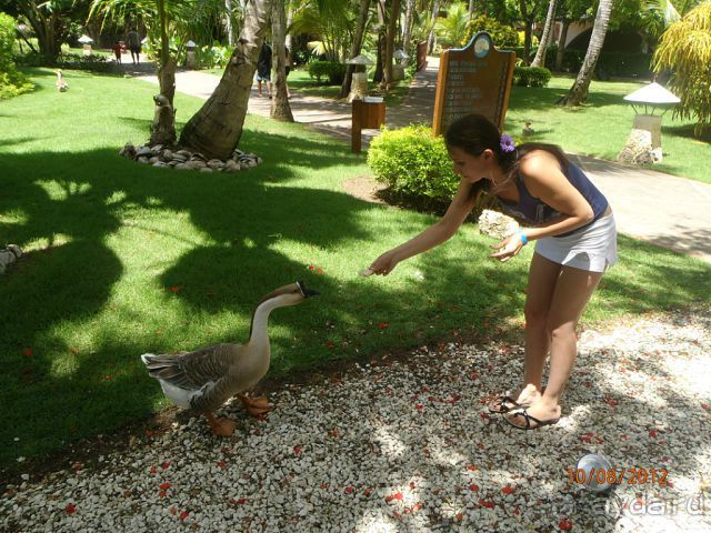 Супер!!! Не хотелось уезжать!!! 