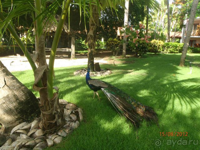 Супер!!! Не хотелось уезжать!!! 