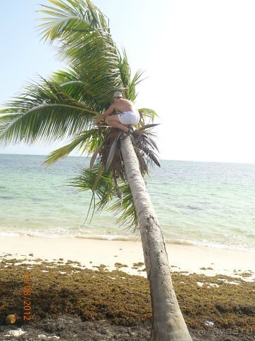 Супер!!! Не хотелось уезжать!!! 