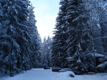 Прекрасное место для отдыха!